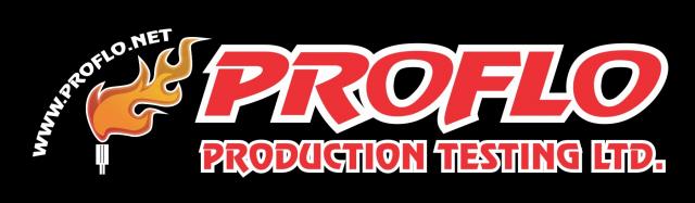 ProFlo Production Testing